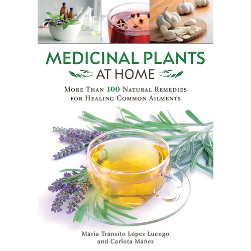 Medicinal Plants At Home