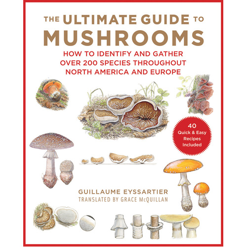 Ultimate Guide To Mushrooms